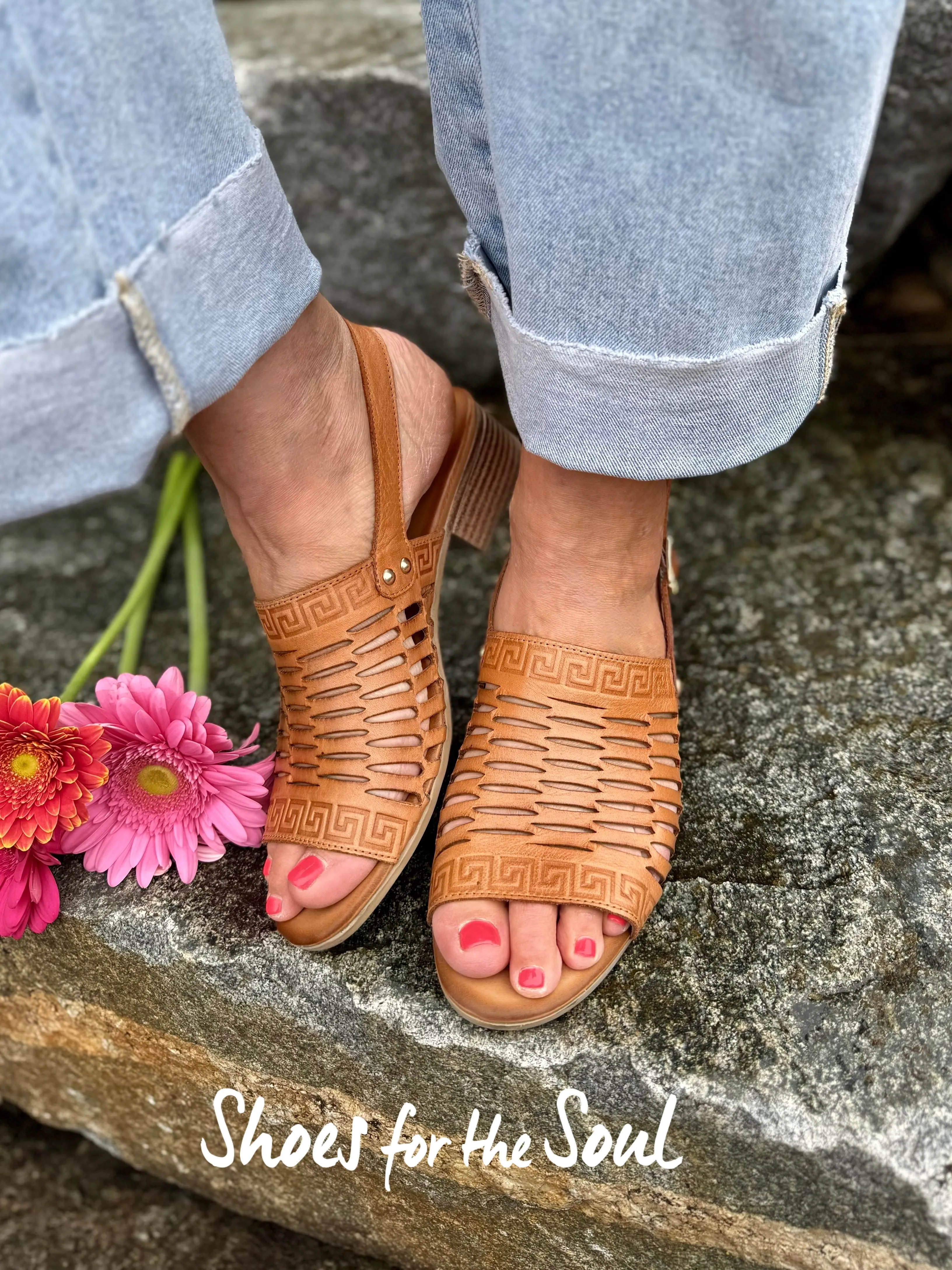 Biza Olivia