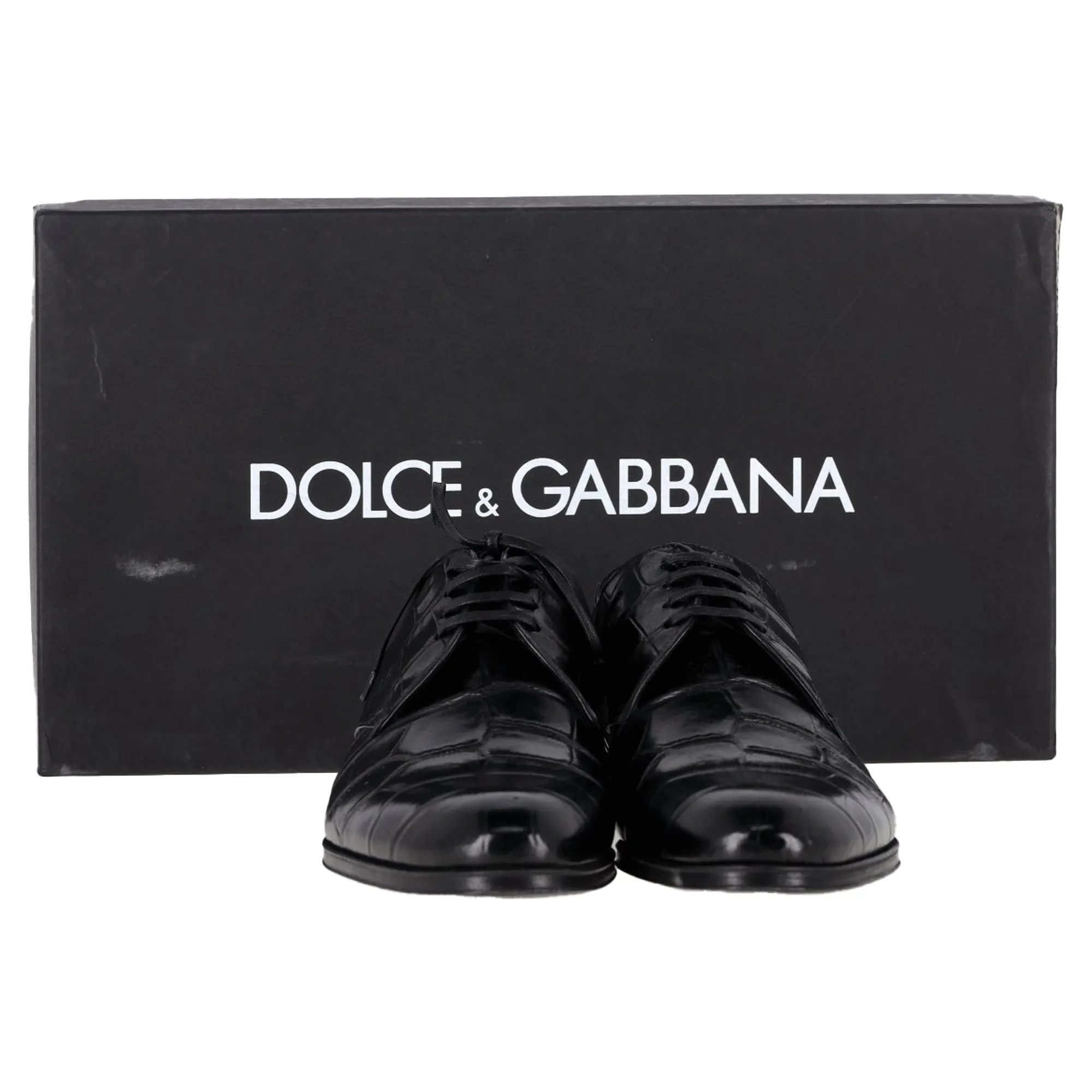 Dolce & Gabbana Croc Embossed Derby Shoes in Black Leather