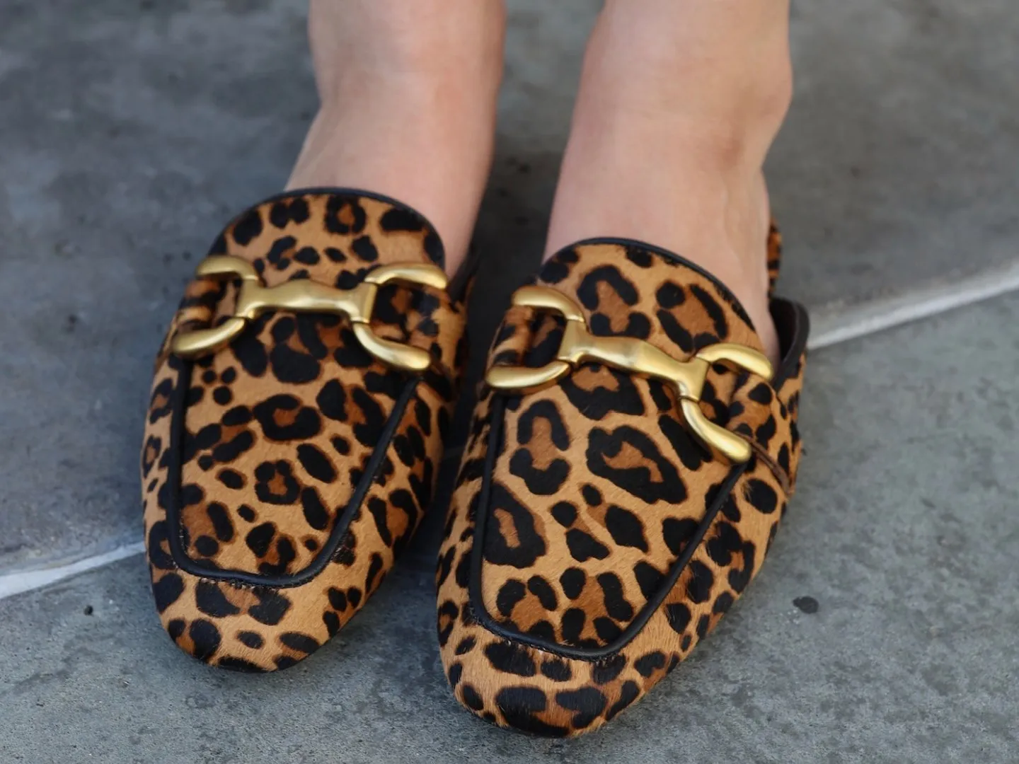 Fortunate-L in Leopard by: Steve Madden