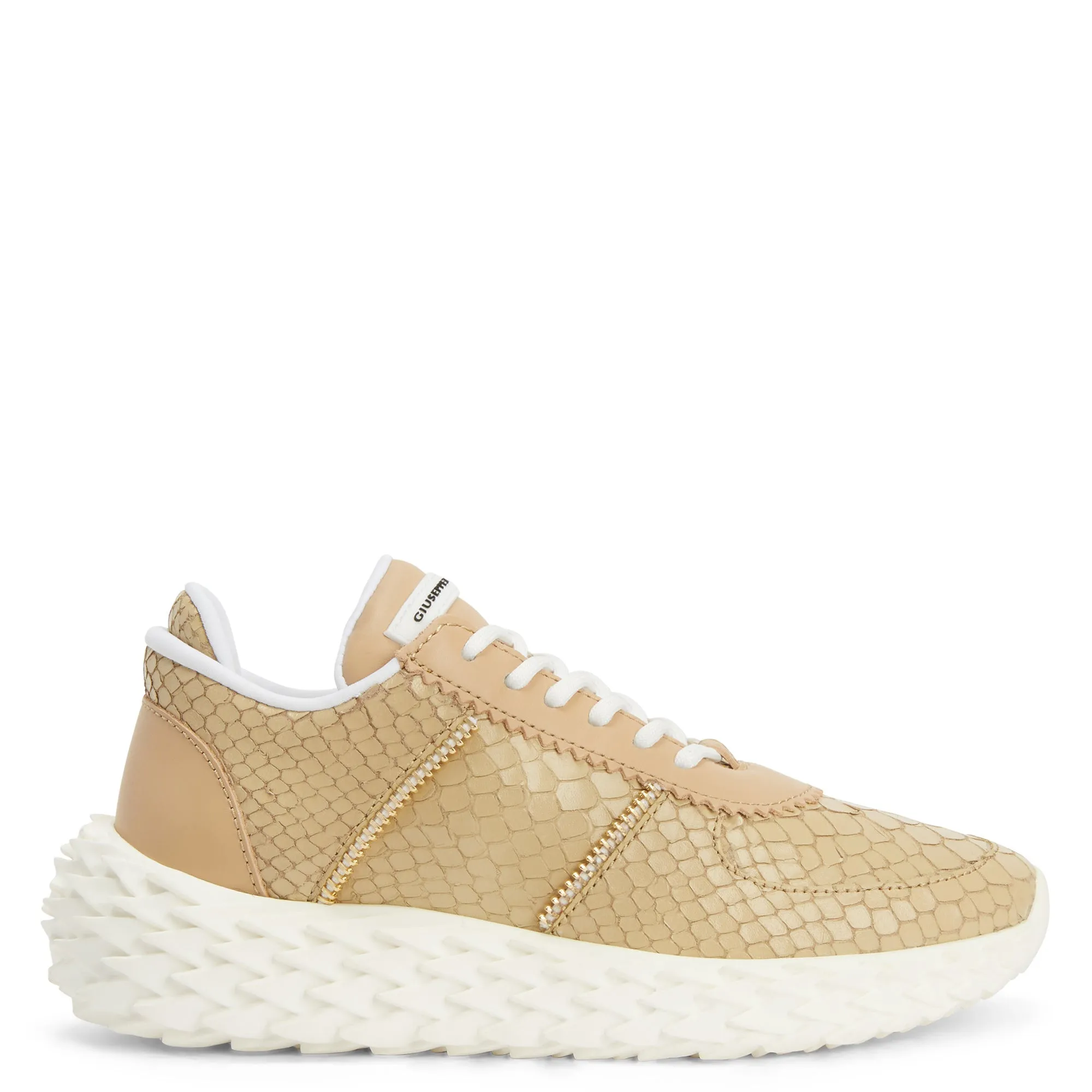 Giuseppe Zanotti Urchin