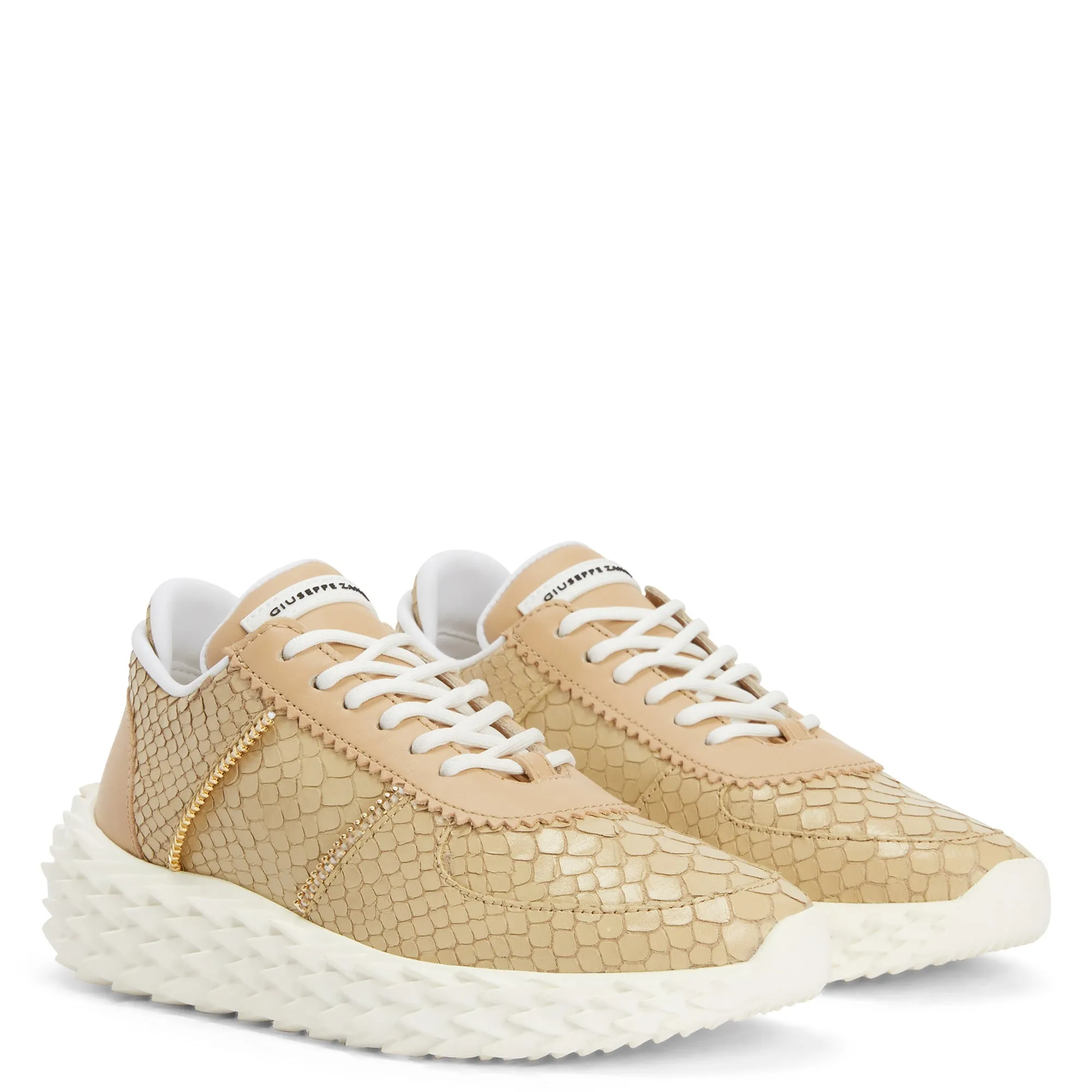 Giuseppe Zanotti Urchin