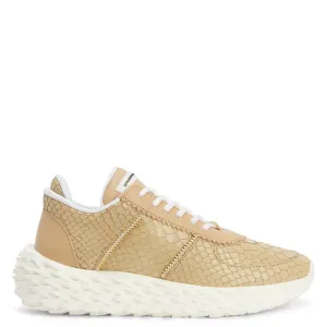 Giuseppe Zanotti Urchin