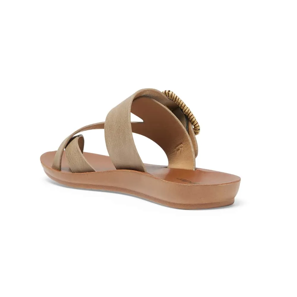 Glide Slide in Taupe Smooth