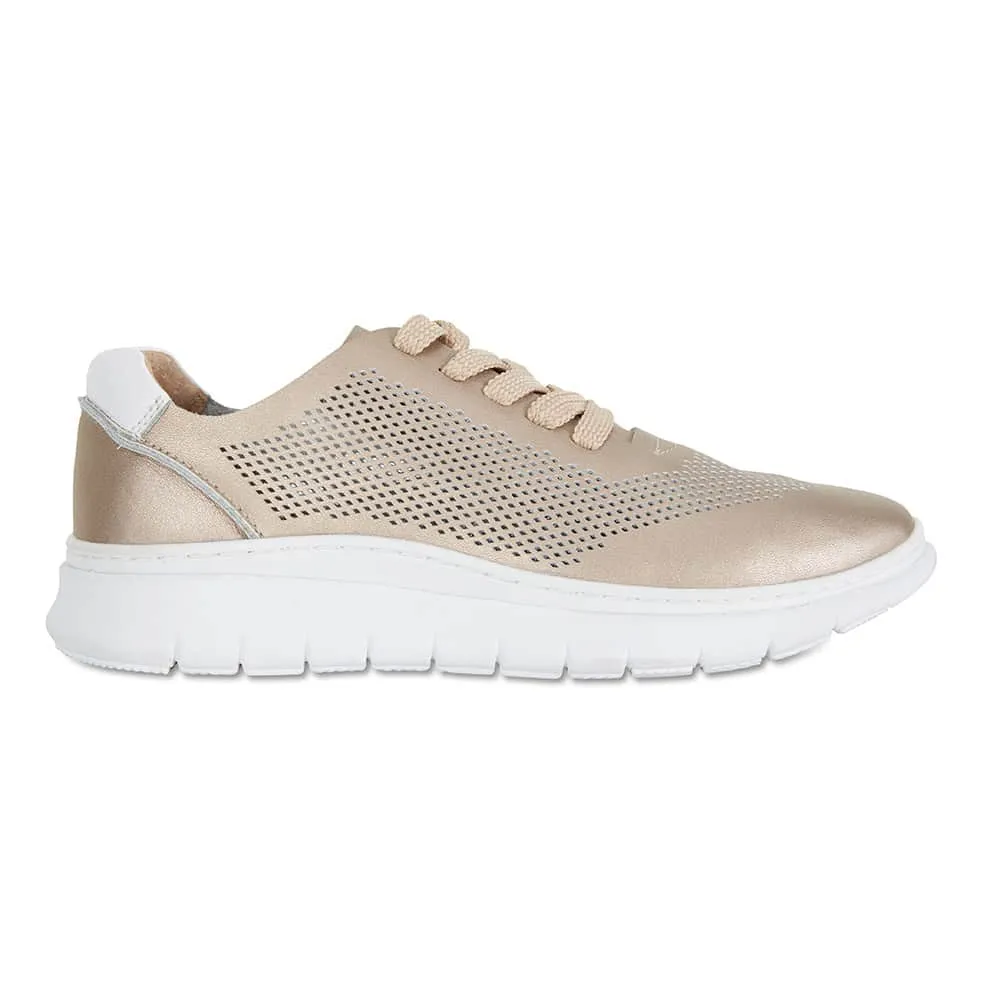 Ratio Sneaker in Gold Metallic Leather
