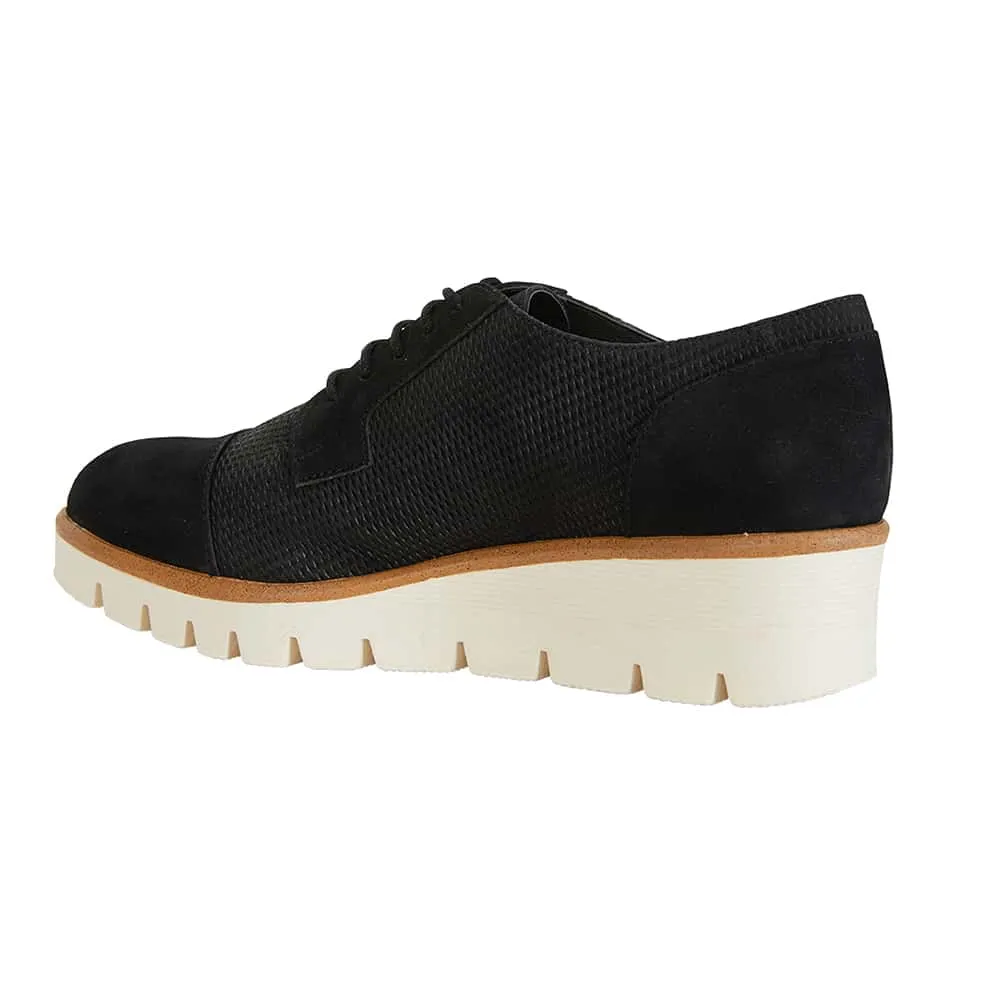 Vega Brogue in Black Nubuck
