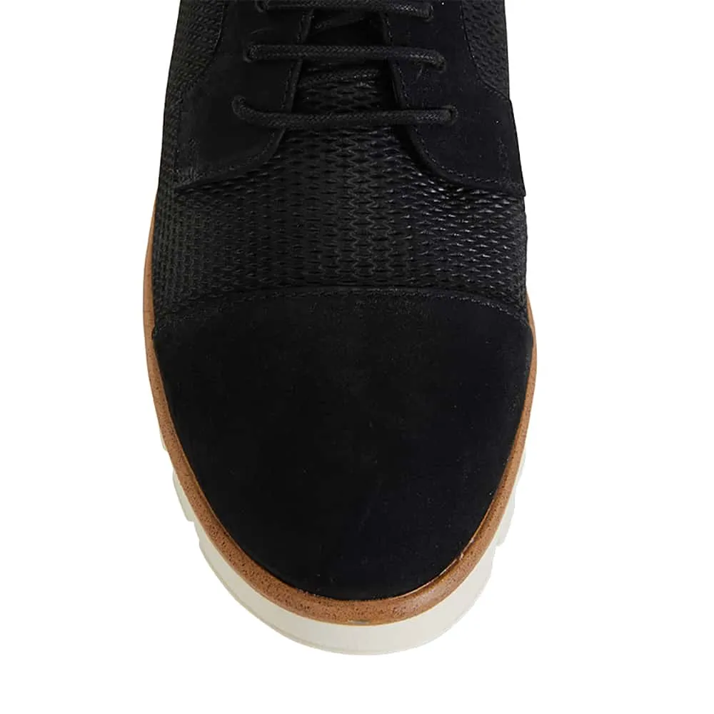 Vega Brogue in Black Nubuck