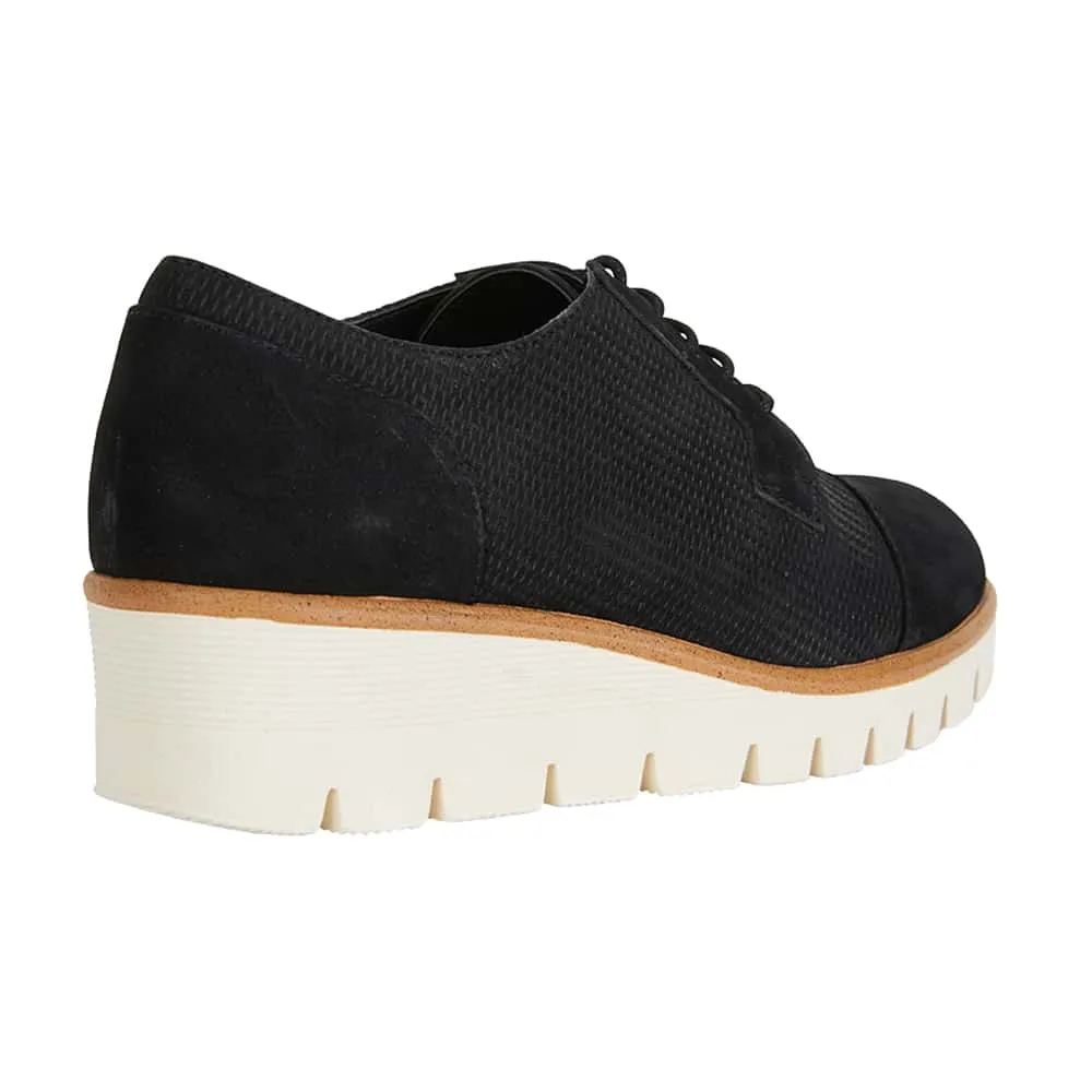 Vega Brogue in Black Nubuck