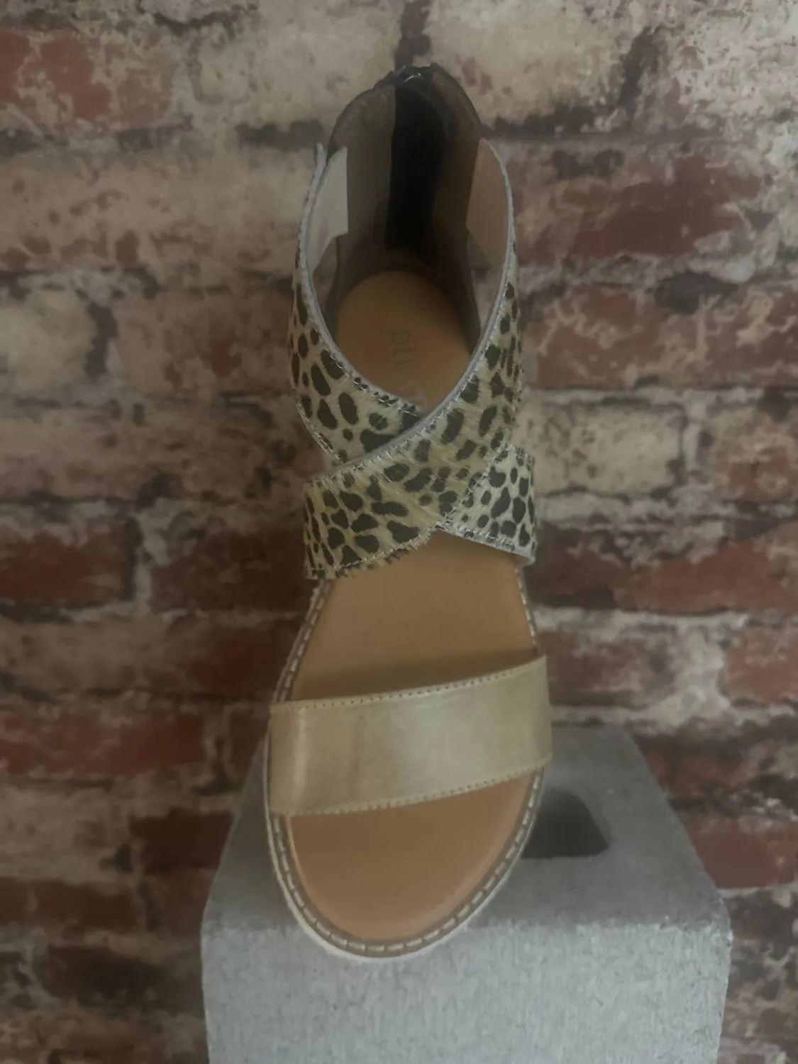 Women's Day Timer Sandal In Leopard Print/ Black Leather